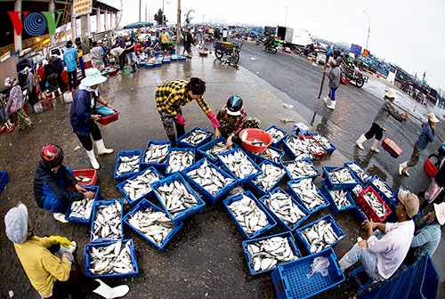 Tho Quang fishing port in spring  - ảnh 20